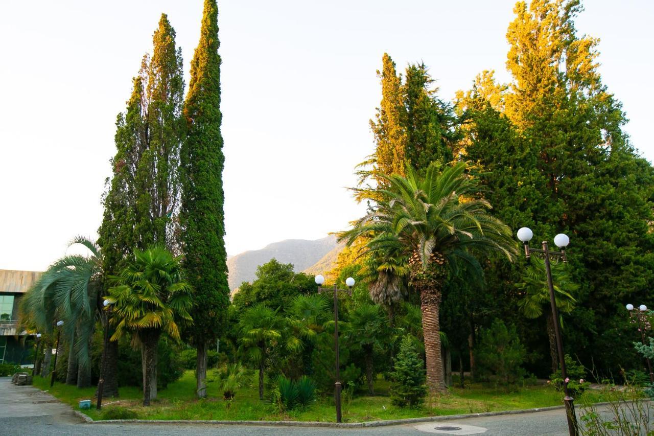 Amza Park Hotel Gagra Exterior photo